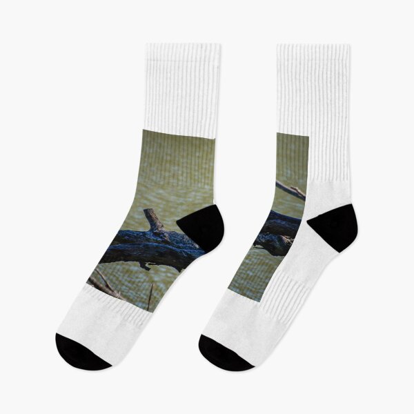 Item preview, Pied Cormorant  designed and sold by D-GaP.