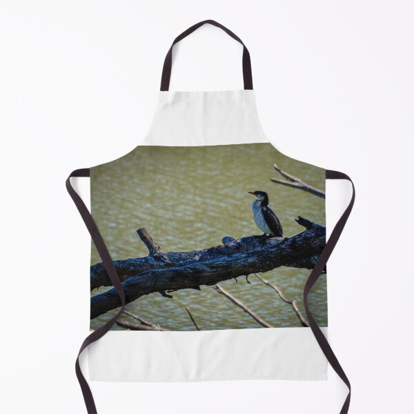 Item preview, Pied Cormorant  designed and sold by D-GaP.