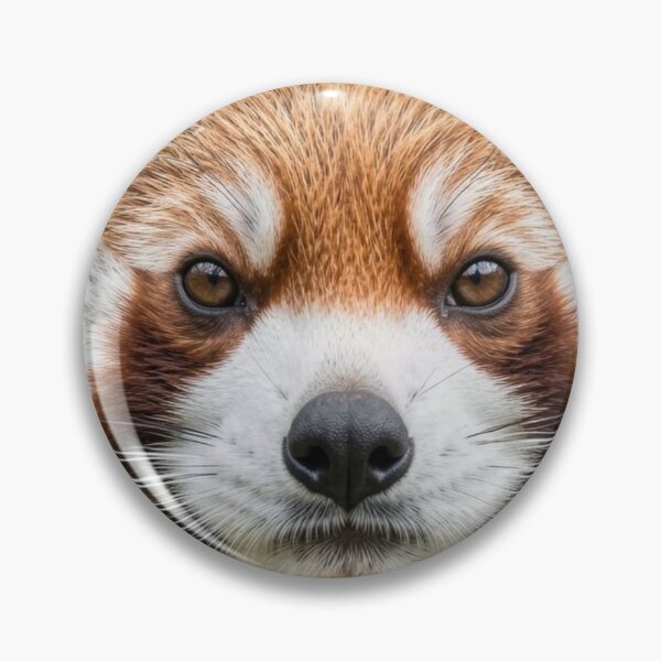 Item preview, Red Panda designed and sold by Kirrindy Designs.