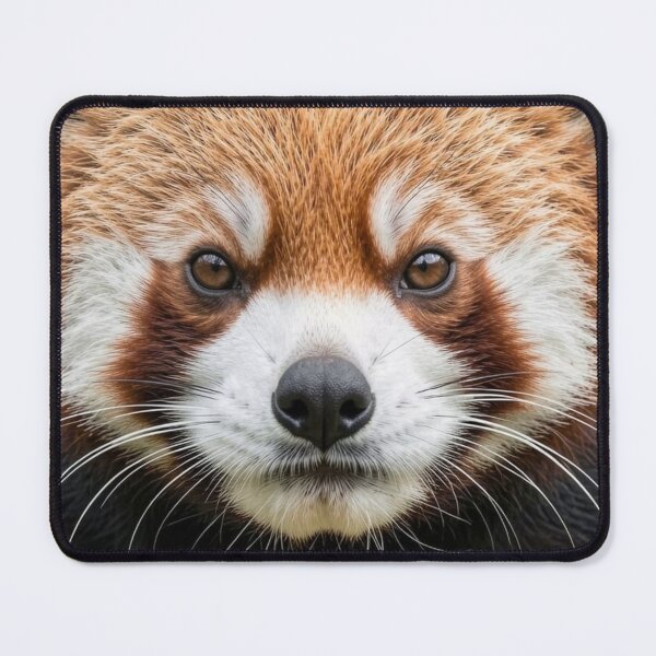 Item preview, Red Panda designed and sold by Kirrindy Designs.