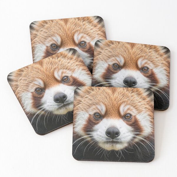 Item preview, Red Panda designed and sold by Kirrindy Designs.