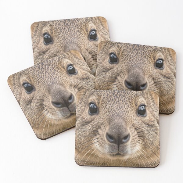 Item preview, Quokka designed and sold by Kirrindy Designs.