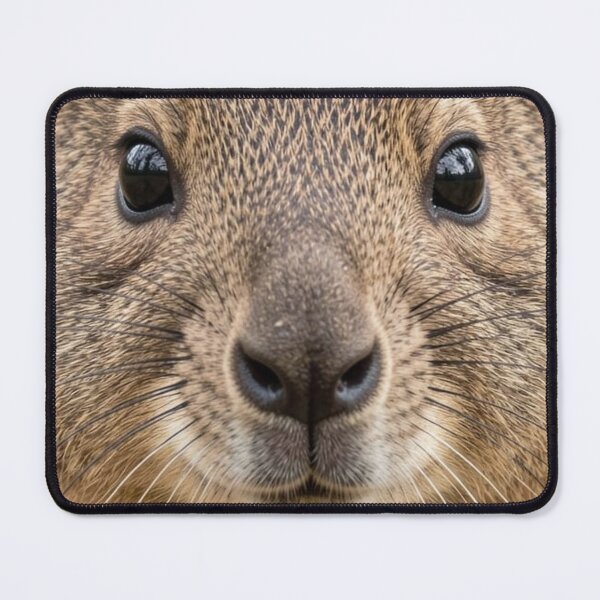Item preview, Quokka designed and sold by Kirrindy Designs.