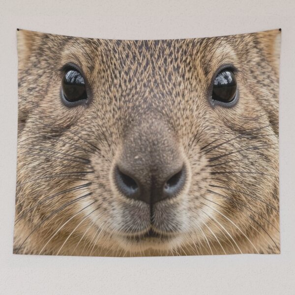 Item preview, Quokka designed and sold by Kirrindy Designs.