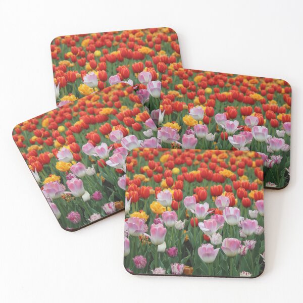 Item preview, Multi-coloured Tulips designed and sold by alyssasimages.