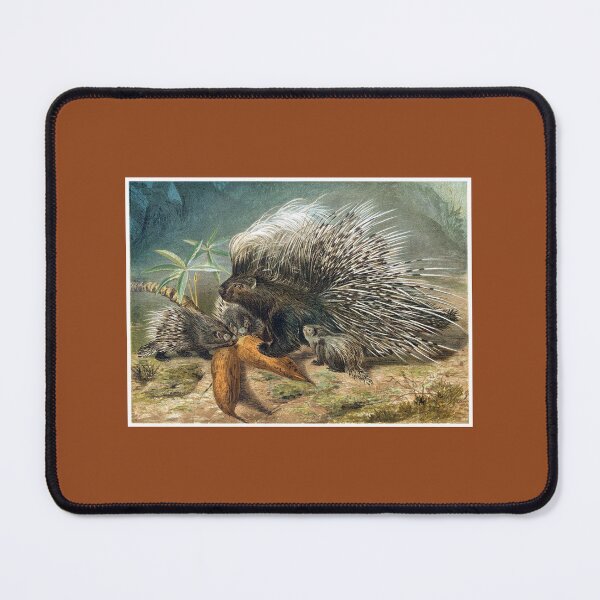 Item preview, Porcupine designed and sold by hec60504.