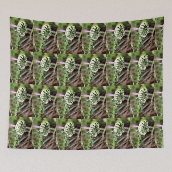 Item preview, fern designed and sold by KathleenDawson.