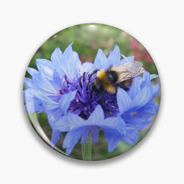 Item preview, Bee on a Cornflower designed and sold by CalmnessbyChoice.