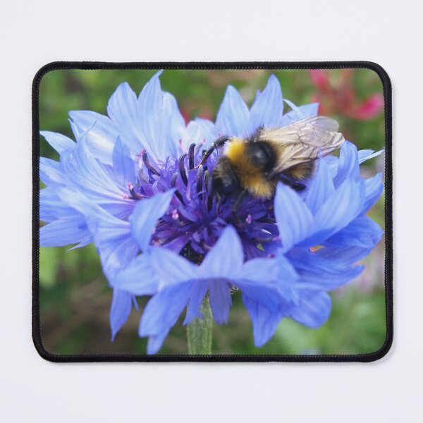 Item preview, Bee on a Cornflower designed and sold by CalmnessbyChoice.