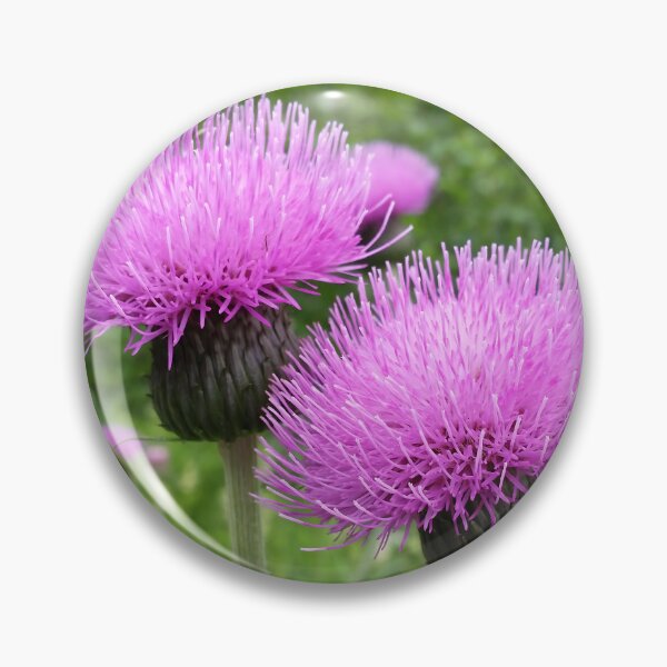 Item preview, Purple Thistle Flowers designed and sold by CalmnessbyChoice.