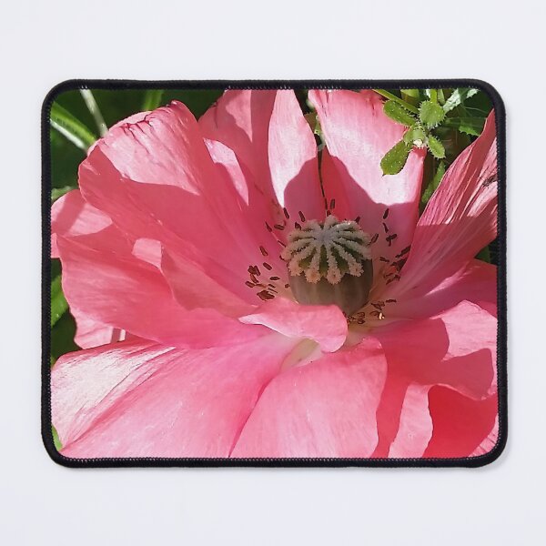 Item preview, Pink Poppy Closeup designed and sold by CalmnessbyChoice.