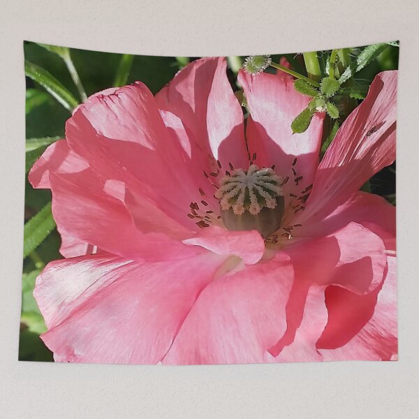Item preview, Pink Poppy Closeup designed and sold by CalmnessbyChoice.