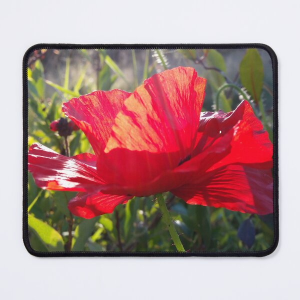 Item preview, Real Red Poppy Photo designed and sold by CalmnessbyChoice.