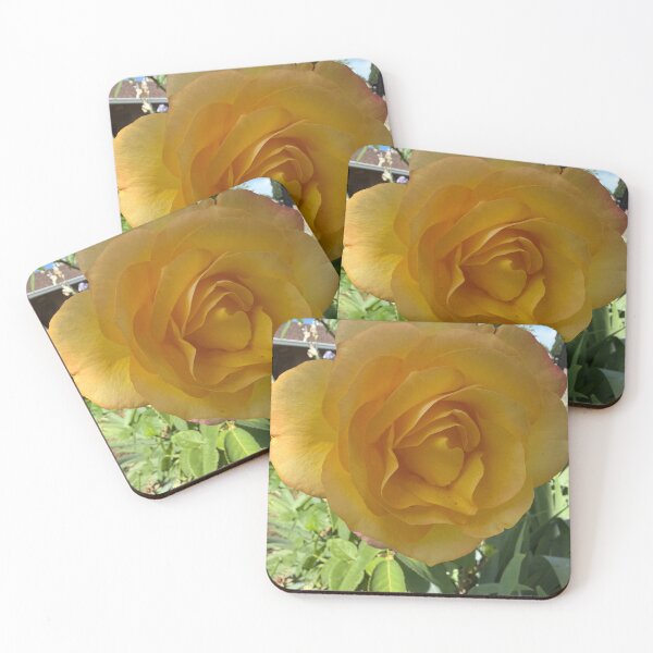 Item preview, Stop and Smell the Sunshine designed and sold by Terrifically Trish.