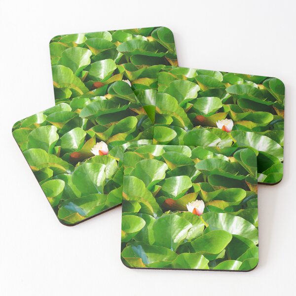 Item preview, Singular water lily in a lagoon filled with lily pads designed and sold by jaynerushton.