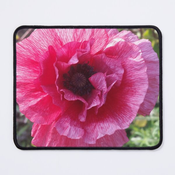 Item preview, Pink Flower Photo designed and sold by CalmnessbyChoice.