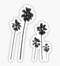 Palm Trees Sticker