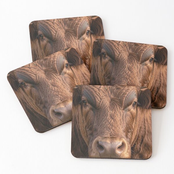 Item preview, Toro designed and sold by Kirrindy Designs.