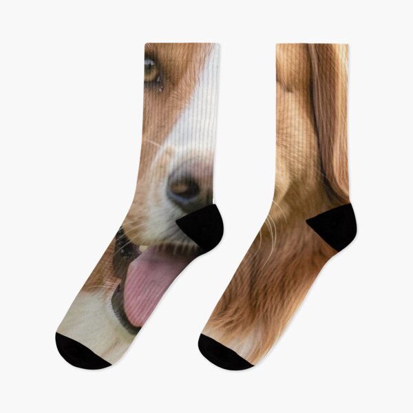 Item preview, Border Collie designed and sold by Kirrindy Designs.