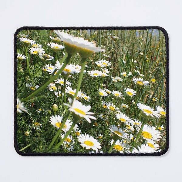 Item preview, Wild Daisy Meadow Under Summer Sky designed and sold by onubi.