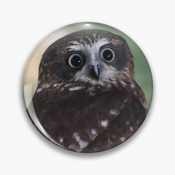 Item preview, Australian Boobook Owl designed and sold by MKlens.