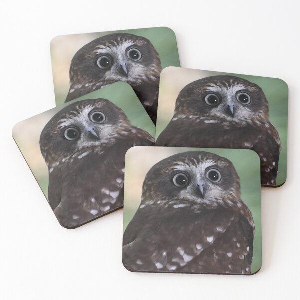 Item preview, Australian Boobook Owl designed and sold by MKlens.