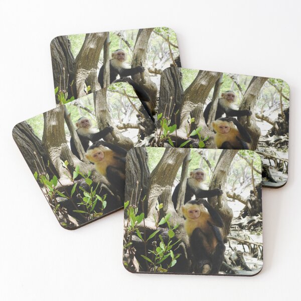 Item preview, Touching Distance: A Close-Up with Costa Rica's Wild Capuchins designed and sold by sky earth human.