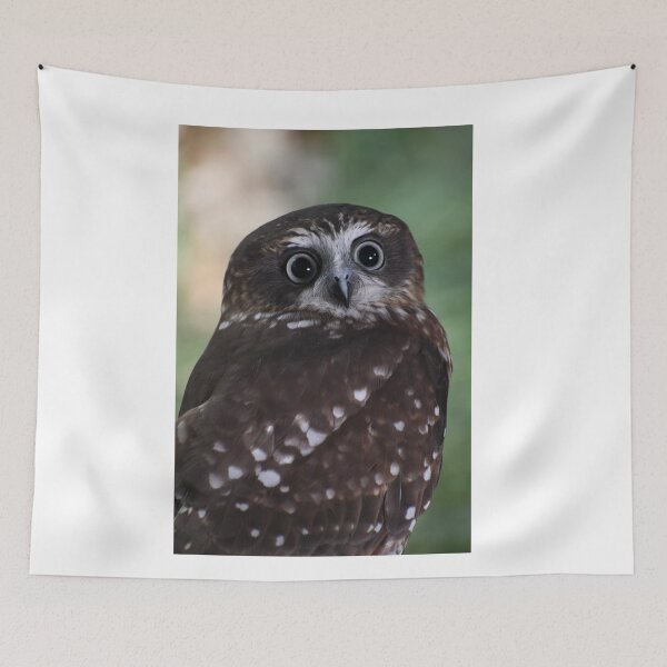 Item preview, Australian Boobook Owl designed and sold by MKlens.