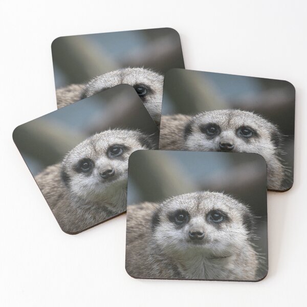 Item preview, Wildlife Animal Nature Lover Curious Meerkat designed and sold by SaraRMarshall.