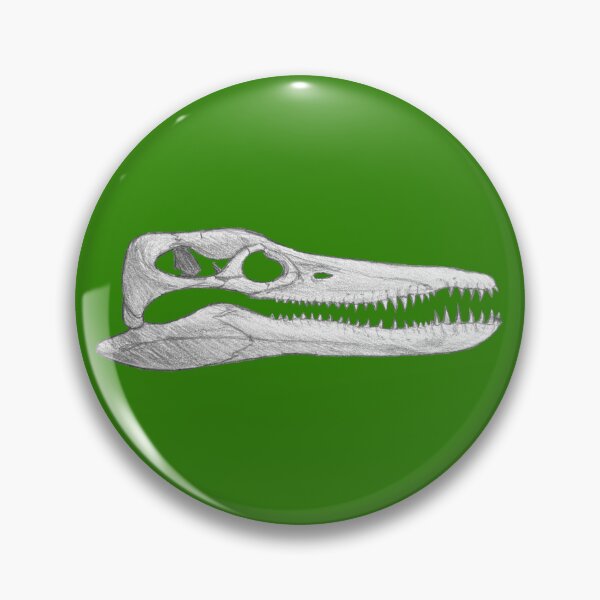 Item preview, Pleiosaurus Skull designed and sold by DoodleSnake58.