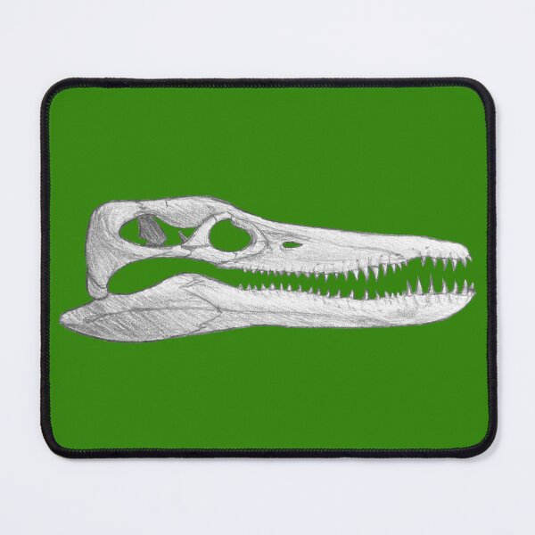Item preview, Pleiosaurus Skull designed and sold by DoodleSnake58.