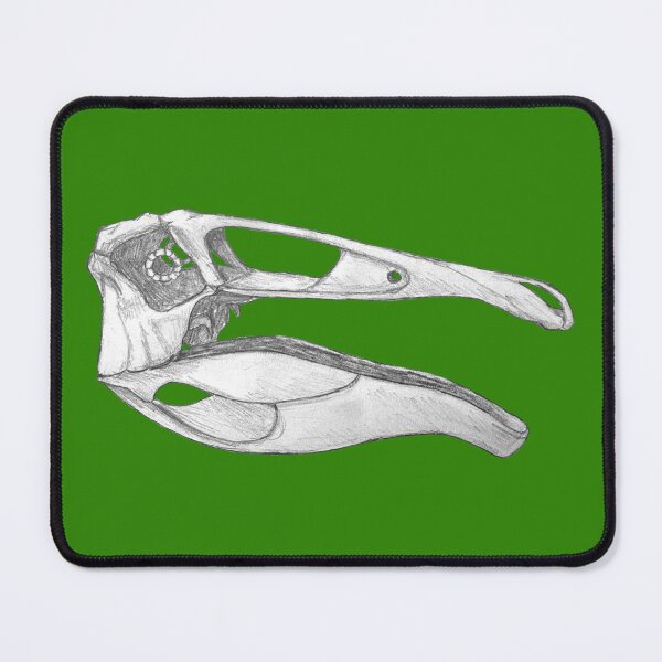 Item preview, Deinocheirus Skull designed and sold by DoodleSnake58.