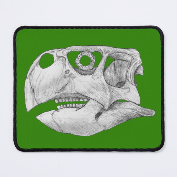 Item preview, Psittacosaurus Skull designed and sold by DoodleSnake58.