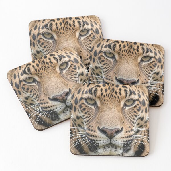 Item preview, Jaguar designed and sold by Kirrindy Designs.