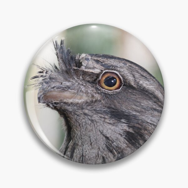 Item preview, Tawny Frogmouth designed and sold by MKlens.