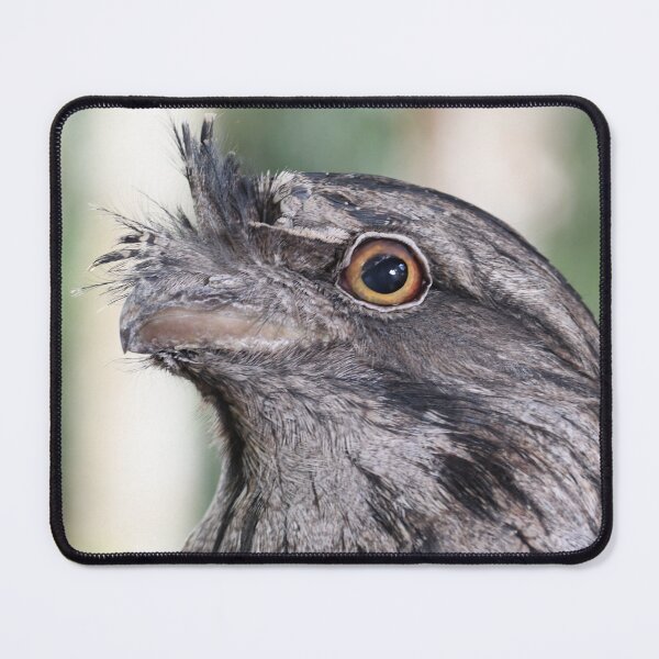 Item preview, Tawny Frogmouth designed and sold by MKlens.