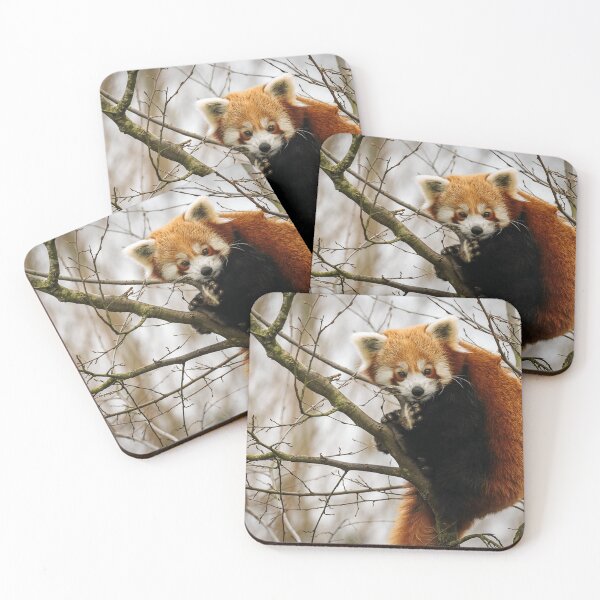 Item preview, Wildlife Animal Nature Lover Red Panda designed and sold by SaraRMarshall.