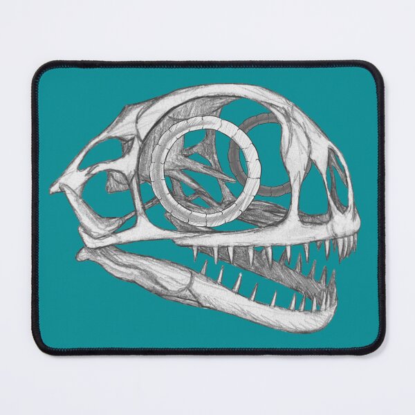 Item preview, Anurognathus skull  designed and sold by DoodleSnake58.