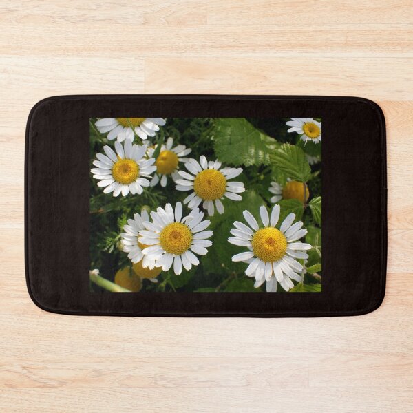Item preview, Chamomile Blossoms in Natural Garden Light designed and sold by onubi.