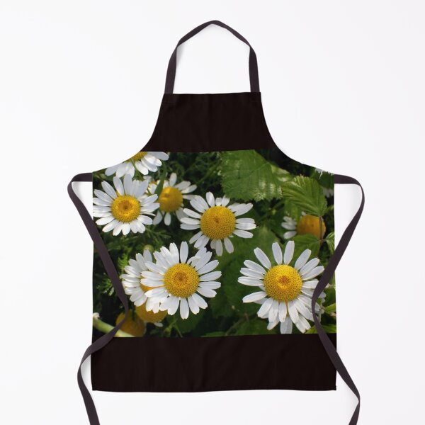 Item preview, Chamomile Blossoms in Natural Garden Light designed and sold by onubi.