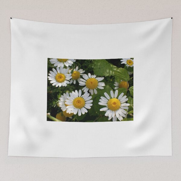 Item preview, Chamomile Blossoms in Natural Garden Light designed and sold by onubi.