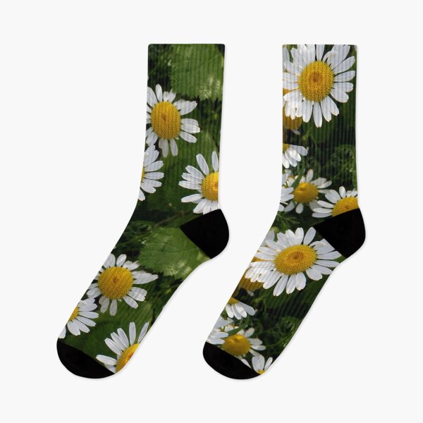 Item preview, Chamomile Blossoms in Natural Garden Light designed and sold by onubi.