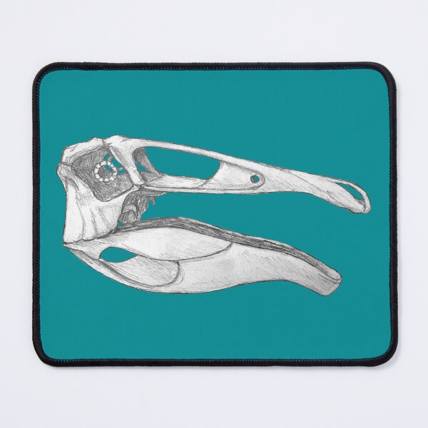 Item preview, Deinocheirus Skull designed and sold by DoodleSnake58.