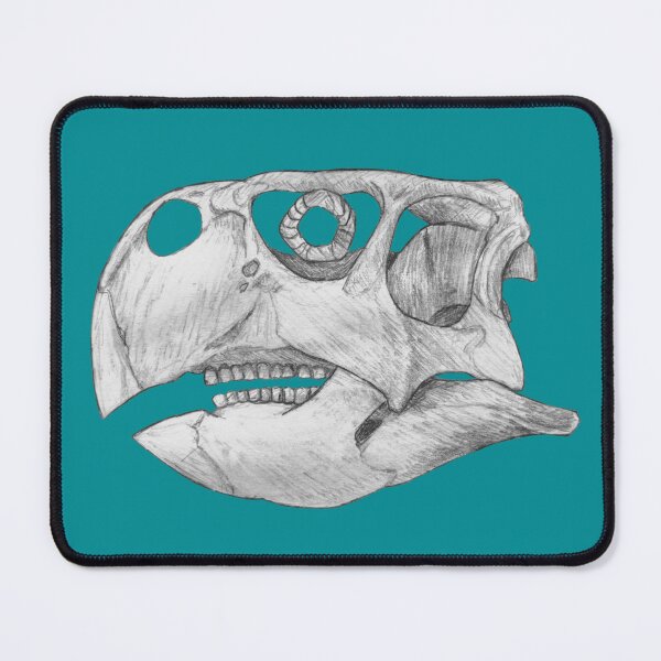 Item preview, Psittacosaurus Skull designed and sold by DoodleSnake58.