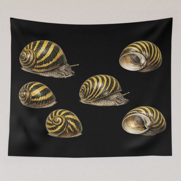 Item preview, Zebra Snail - aquarium owner designed and sold by DamioPolArt.