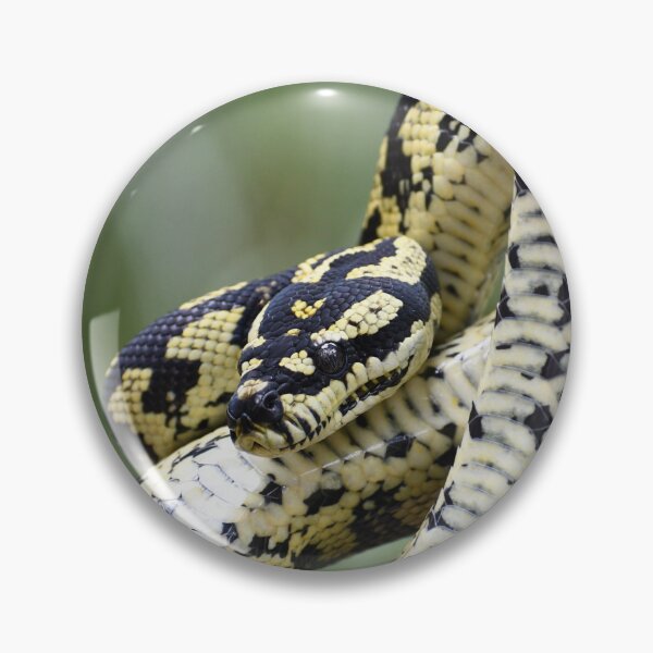 Item preview, Jungle Carpet Python designed and sold by MKlens.