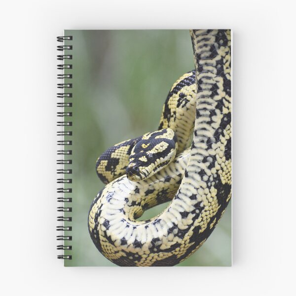 Item preview, Jungle Carpet Python designed and sold by MKlens.