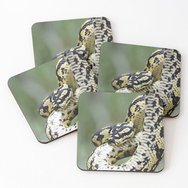 Item preview, Jungle Carpet Python designed and sold by MKlens.