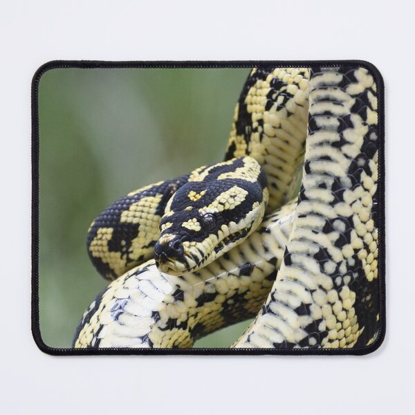 Item preview, Jungle Carpet Python designed and sold by MKlens.