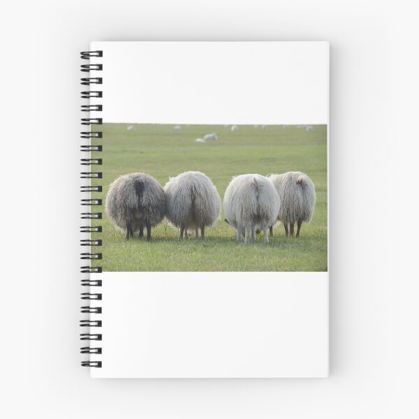 Item preview, Bottoms Up designed and sold by photosbymia.